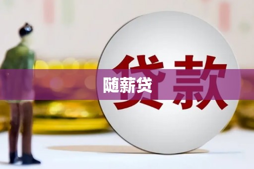 叶城随薪贷