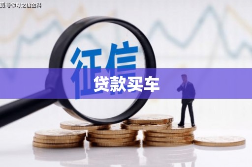 叶城贷款买车