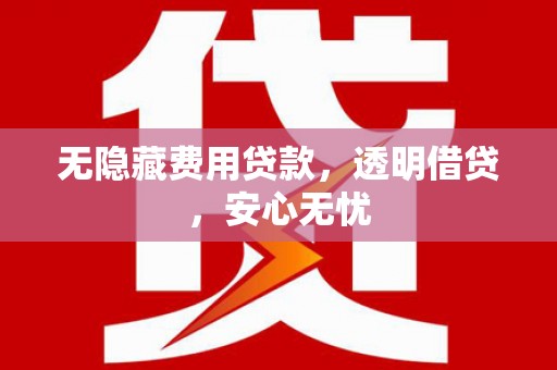 叶城无隐藏费用贷款，透明借贷，安心无忧