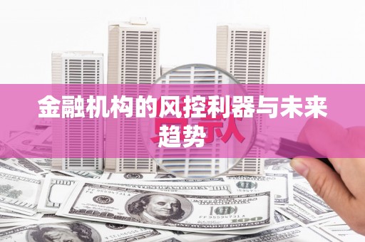 叶城金融机构的风控利器与未来趋势