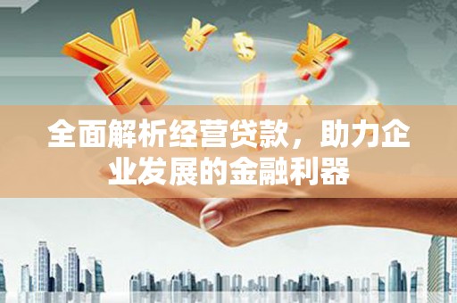 叶城全面解析经营贷款，助力企业发展的金融利器