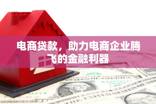 叶城电商贷款，助力电商企业腾飞的金融利器
