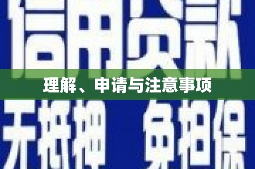 叶城理解、申请与注意事项
