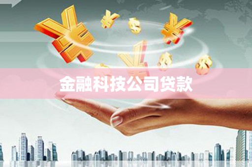 叶城金融科技公司贷款