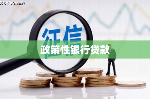 叶城政策性银行贷款