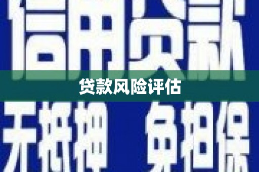 叶城贷款风险评估