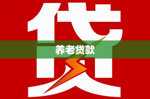 叶城养老贷款