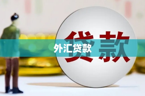 叶城外汇贷款