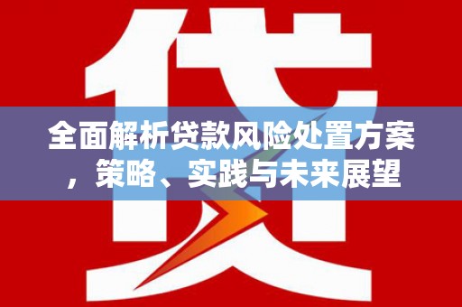 叶城全面解析贷款风险处置方案，策略、实践与未来展望