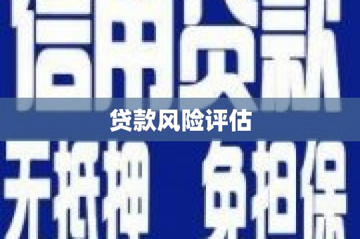 叶城贷款风险评估