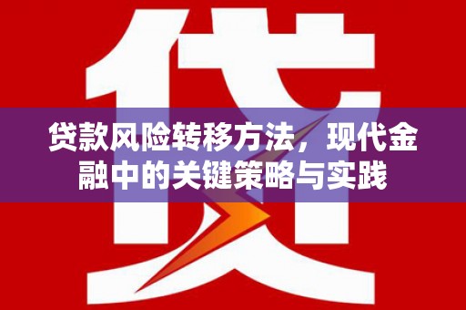 叶城贷款风险转移方法，现代金融中的关键策略与实践