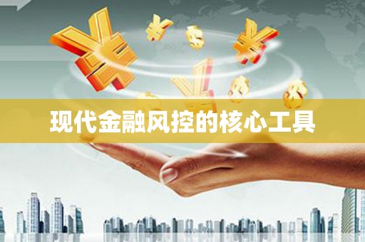 叶城现代金融风控的核心工具