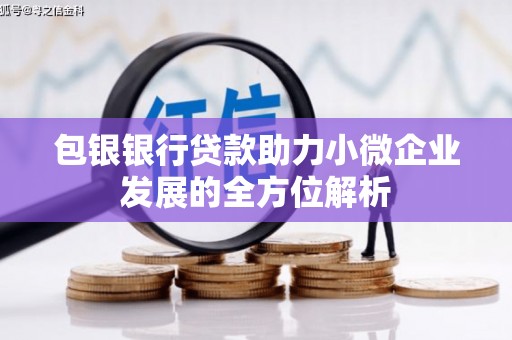 叶城包银银行贷款助力小微企业发展的全方位解析