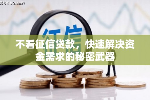 叶城不看征信贷款，快速解决资金需求的秘密武器