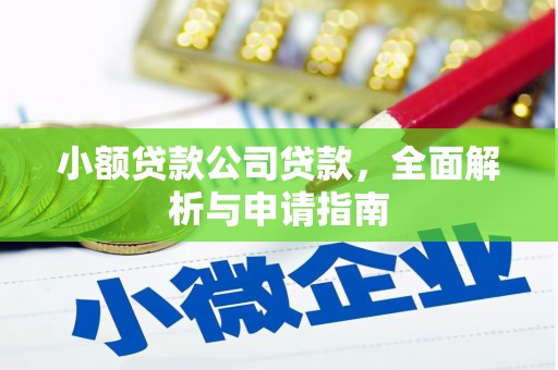 叶城小额贷款公司贷款，全面解析与申请指南