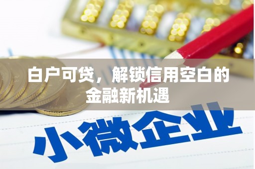 叶城白户可贷，解锁信用空白的金融新机遇