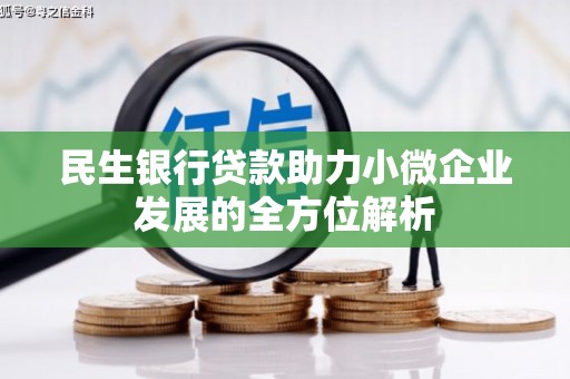 叶城民生银行贷款助力小微企业发展的全方位解析