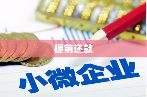 叶城提前还款