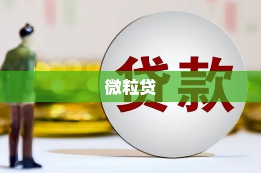 叶城微粒贷
