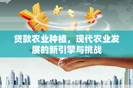 叶城贷款农业种植，现代农业发展的新引擎与挑战