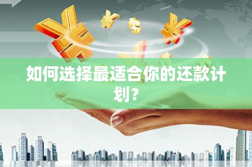 叶城如何选择最适合你的还款计划？