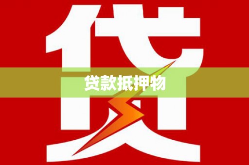 叶城贷款抵押物