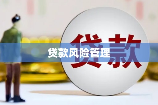 叶城贷款风险管理