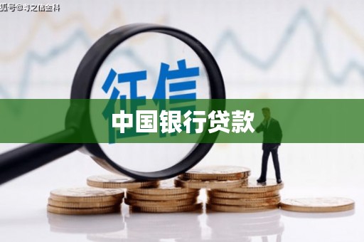叶城中国银行贷款