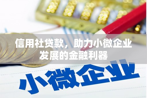 叶城信用社贷款，助力小微企业发展的金融利器
