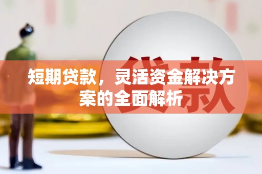 叶城短期贷款，灵活资金解决方案的全面解析