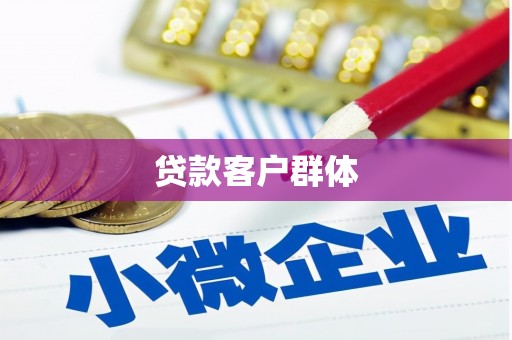 叶城贷款客户群体