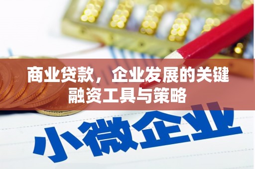 叶城商业贷款，企业发展的关键融资工具与策略