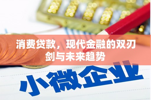 叶城消费贷款，现代金融的双刃剑与未来趋势