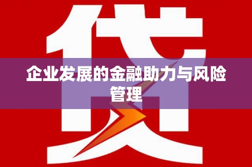 叶城企业发展的金融助力与风险管理