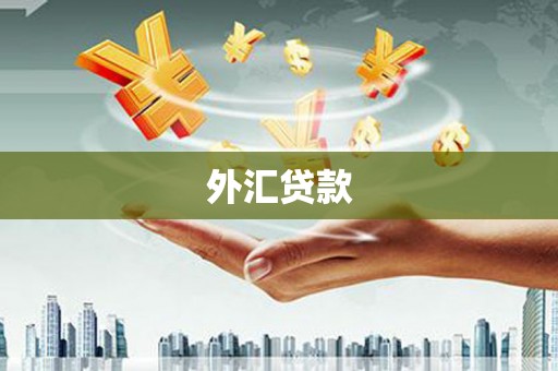 叶城外汇贷款