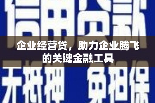 叶城企业经营贷，助力企业腾飞的关键金融工具