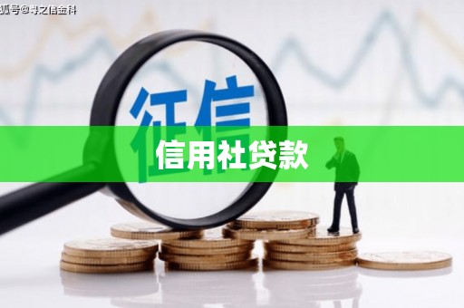 叶城信用社贷款