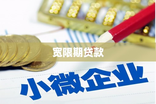 叶城宽限期贷款