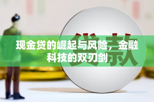 叶城现金贷的崛起与风险，金融科技的双刃剑