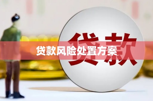 叶城贷款风险处置方案