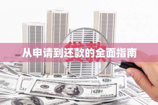 叶城从申请到还款的全面指南