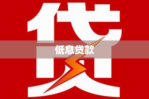 叶城低息贷款