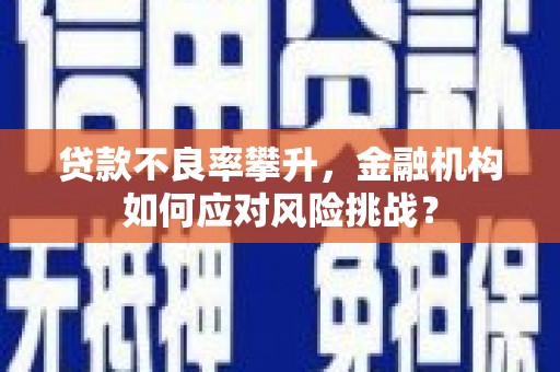 叶城贷款不良率攀升，金融机构如何应对风险挑战？