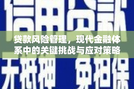 叶城贷款风险管理，现代金融体系中的关键挑战与应对策略