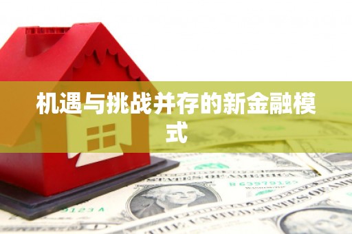 叶城机遇与挑战并存的新金融模式