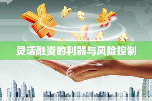 叶城灵活融资的利器与风险控制