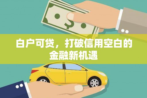 叶城白户可贷，打破信用空白的金融新机遇