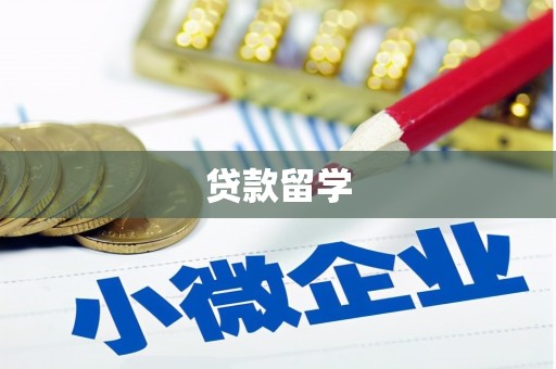 叶城贷款留学