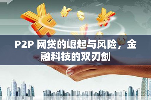 叶城P2P 网贷的崛起与风险，金融科技的双刃剑