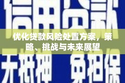 叶城优化贷款风险处置方案，策略、挑战与未来展望